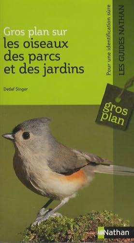 Gros plan sur les oiseaux des parcs et des jardins