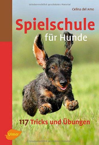 Spielschule für Hunde