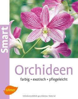 Orchideen: Farbig, exotisch, pflegeleicht