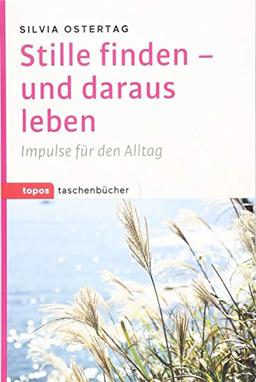 Stille finden - und daraus leben: Impulse für den Alltag (Topos Taschenbücher)