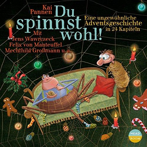 Du spinnst wohl! Eine außergewöhnliche Adventsgeschichte in 24 Kapiteln