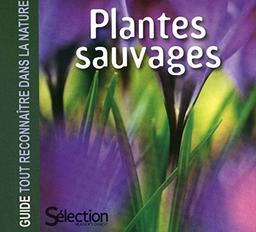 Plantes sauvages