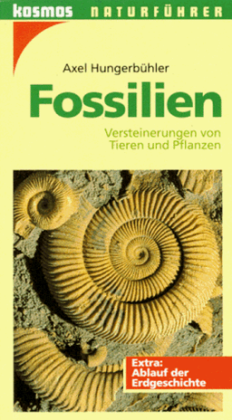 Fossilien. Versteinerungen von Tieren und Pflanzen