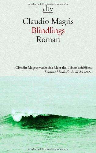 Blindlings: Roman