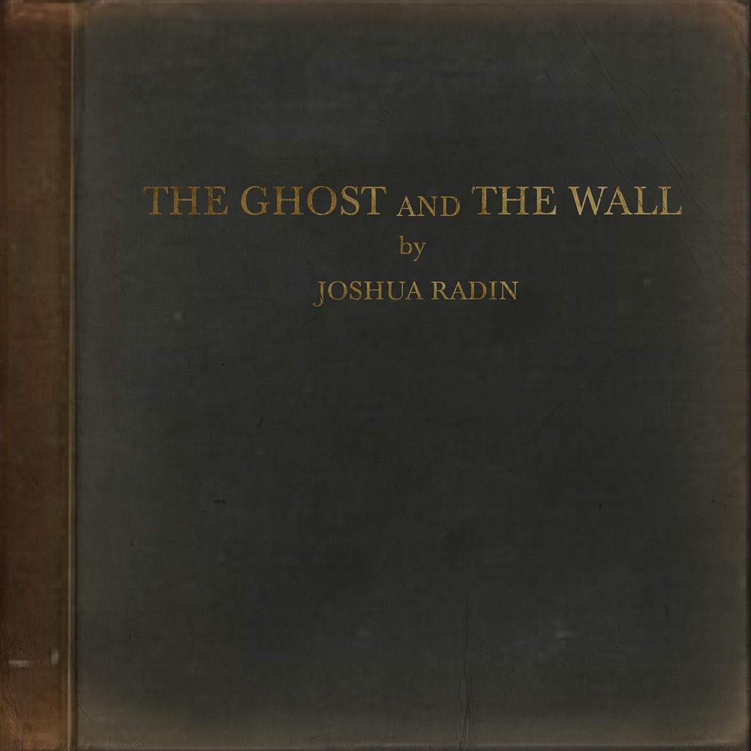 Ghost and the Wall [Vinyl LP]