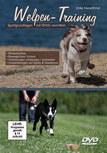 Welpen-Training - Sportgrundlagen mit Spass vermitteln [2 DVDs]