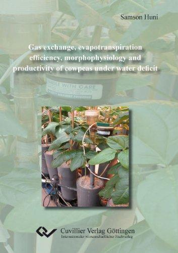 Gas exchange, evapotranspiration efficiency, morphophysiology and productivity of cowpeas under water deficit