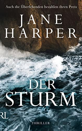 Der Sturm: Thriller