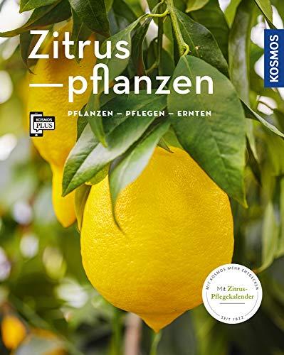 Zitruspflanzen: gestalten - pflanzen - ernten (Mein Garten)