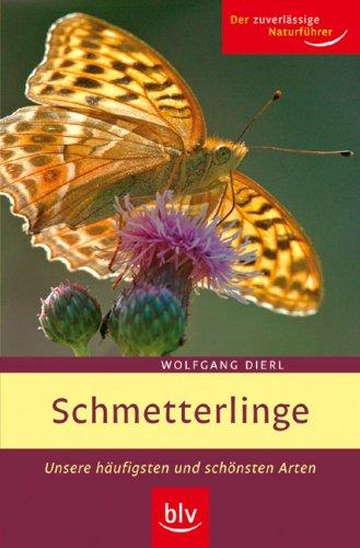 Schmetterlinge: Unsere häufigsten und schönsten Arten