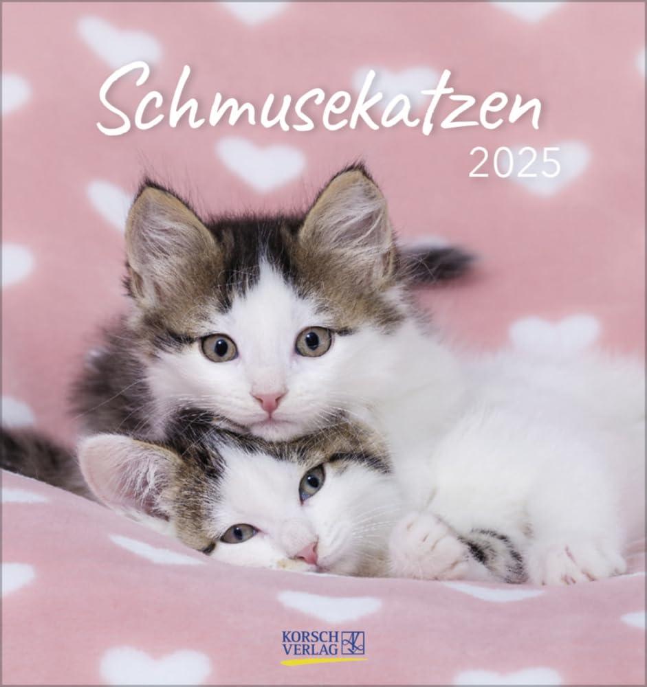 Schmusekatzen 2025: aufstellbarer Postkartenkalender