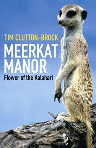 Meerkat Manor: Flower of the Kalahari