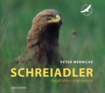 Schreiadler: Vogel ohne Lebensraum