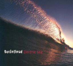 Electric Sea,the