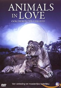 dvd - Animals in love (1 DVD)