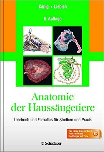 Anatomie der Haussäugetiere