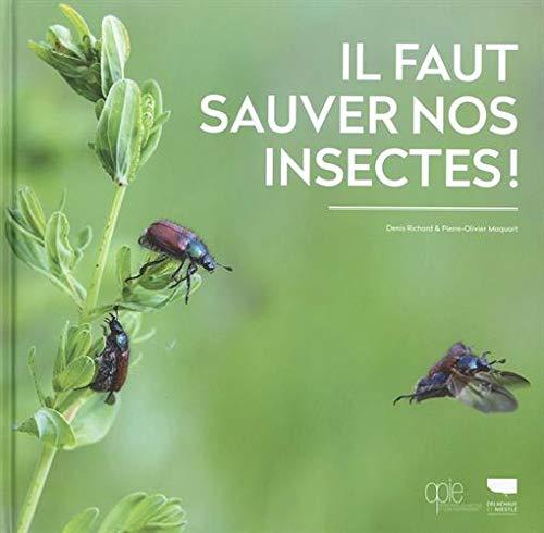 Il faut sauver nos insectes !