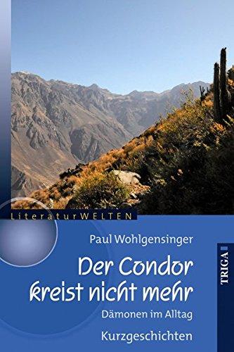 Der Condor kreist nicht mehr: Dämonen im Alltag. Kurzgeschichten (LiteraturWELTEN)