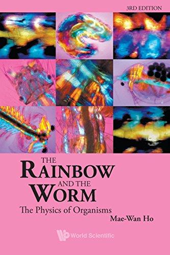 Rainbow And The Worm, The: The Physics Of Organisms (3Rd Edition)