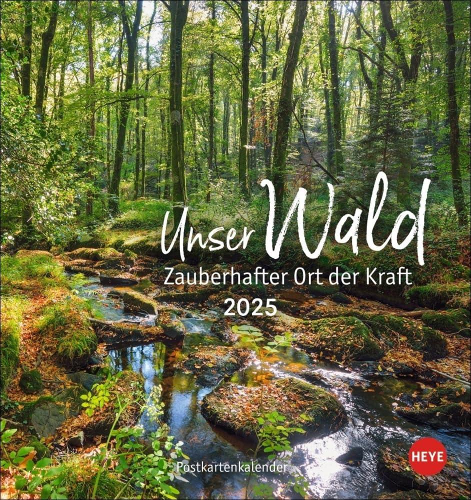 Unser Wald Postkartenkalender 2025 - zauberhafter Ort der Kraft: Beeindruckende Detailfotos in einem Monats-Tischkalender zum Aufstellen und ... Aufnahmen. (Postkartenkalender Heye)