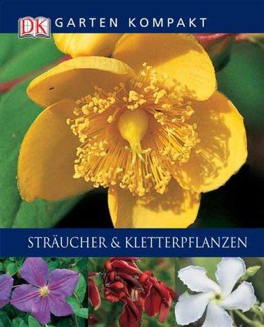 Sträucher & Kletterpflanzen