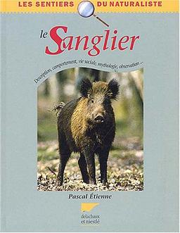 Le sanglier