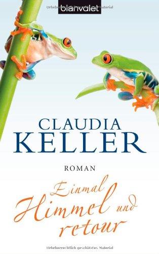 Einmal Himmel und retour: Roman