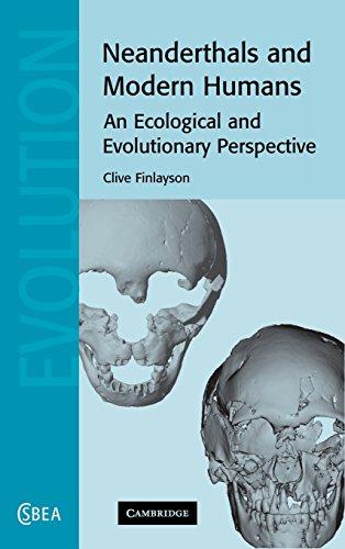 Neanderthals and Modern Humans: An Ecological and Evolutionary Perspective (Cambridge Studies in Biological and Evolutionary Anthropology, Band 38)