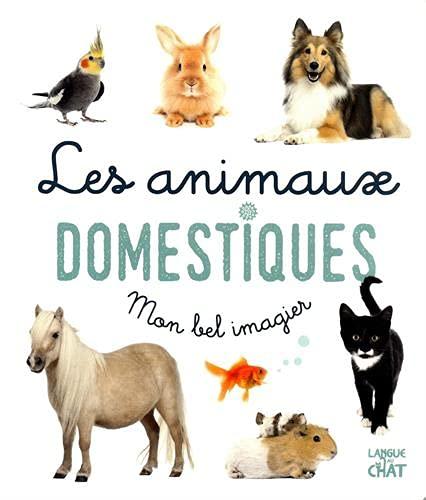 Les animaux domestiques