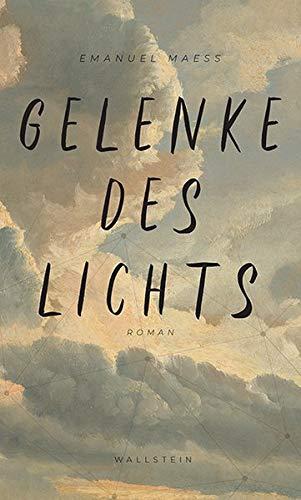 Gelenke des Lichts: Roman