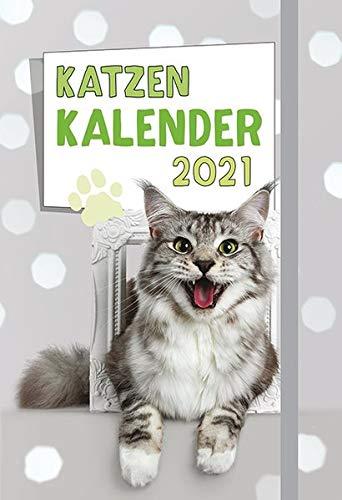 Katzen - Kalender 2021: Taschenkalender mit Lesebändchen und Gummiband