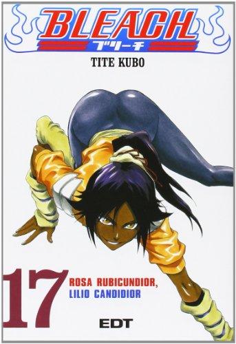 Bleach 17 (Shonen Manga)