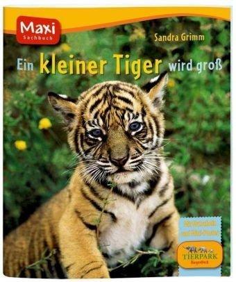 Ein kleiner Tiger wird groß