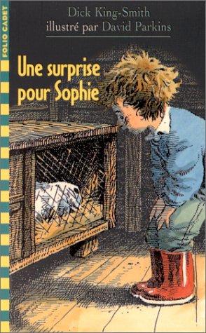 Une surprise pour Sophie