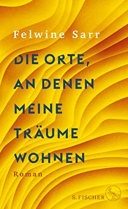 Die Orte, an denen meine Träume wohnen: Roman