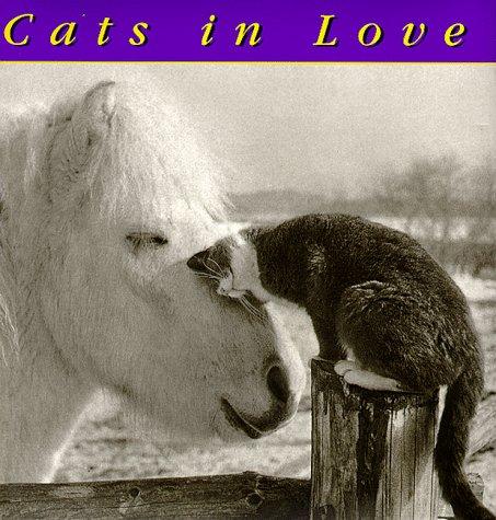 Cats in Love