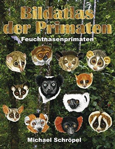 Bildatlas der Primaten: Feuchtnasenprimaten