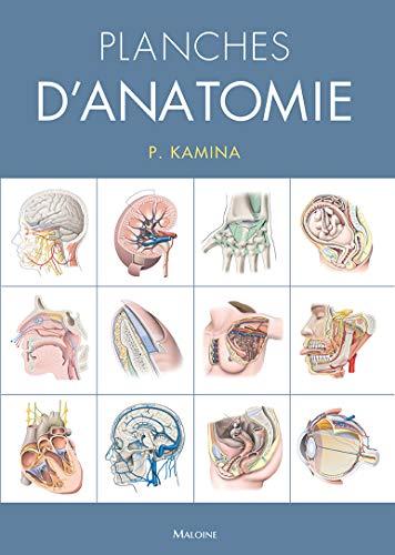 Planches d'anatomie humaine