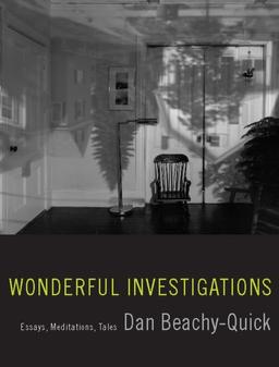 Wonderful Investigations: Essays, Meditations, Tales