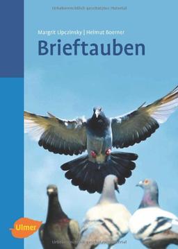 Brieftauben