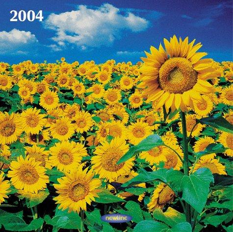 Sonnenblumen 2004. Broschürenkalender inkl. Geburtstagsplaner, mit Ferienterminen