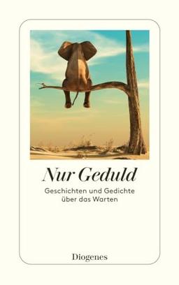 Nur Geduld: Geschichten und Gedichte über das Warten (detebe)