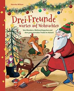 Drei Freunde warten auf Weihnachten: Von Wundern, Weihnachtsgurken und dem ganz normalen Trubel im Advent