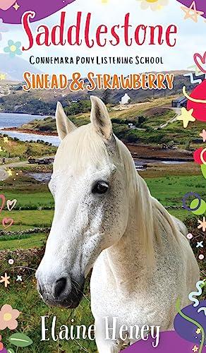 Saddlestone Connemara Pony Listening School | Sinead and Strawberry