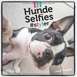 Hunde-Selfies