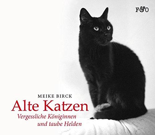 Alte Katzen: Vergessliche Königinnen und taube Helden