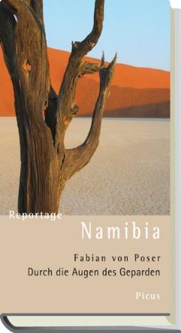 Reportage Namibia: Durch die Augen des Geparden