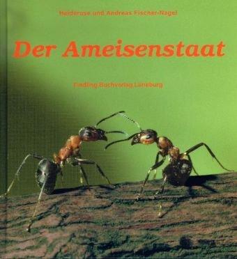 Der Ameisenstaat