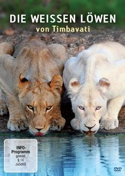 Die weißen Löwen von Timbavati