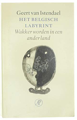 Het Belgisch labyrint: wakker worden in een ander land